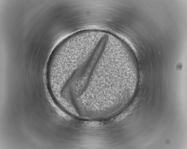 X0000093580991200711121056