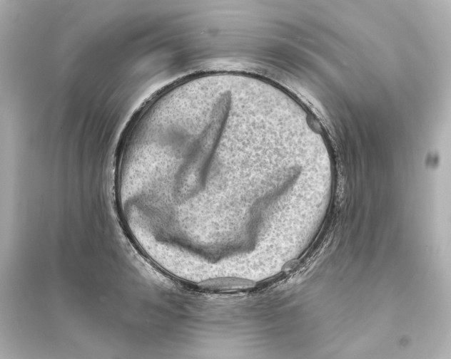 X0000093580992200711121056