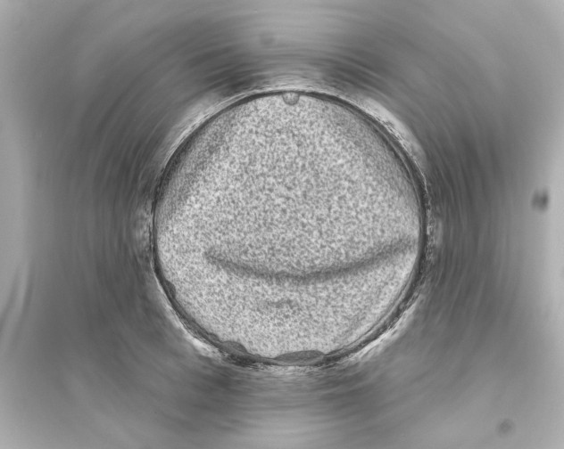 X0000093580993200711121056