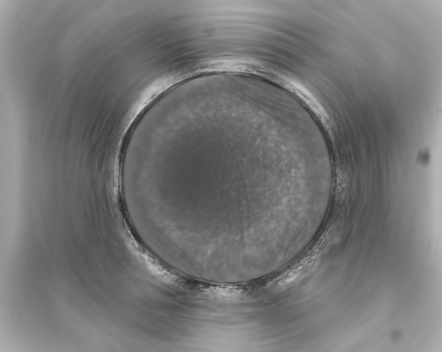 X0000093580994200711121056