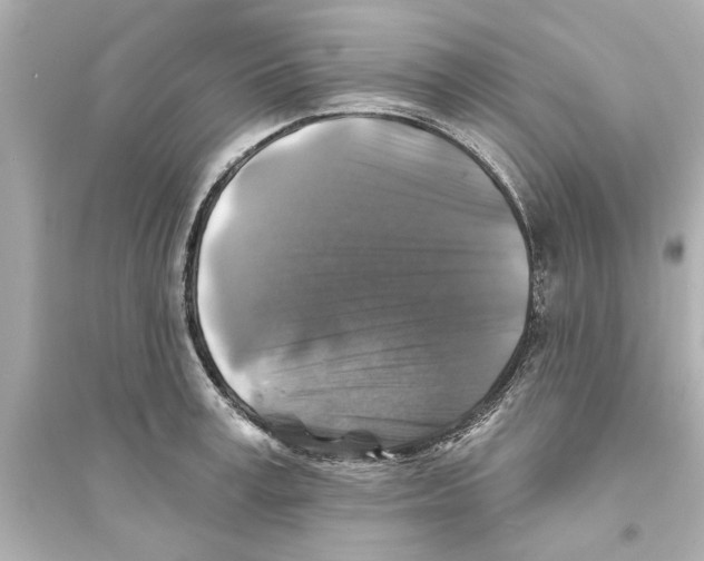 X0000093580995200711121056