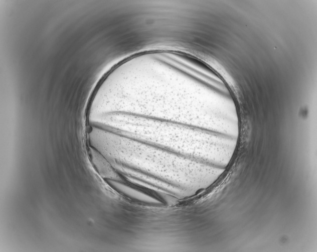 X0000093580996200711121056