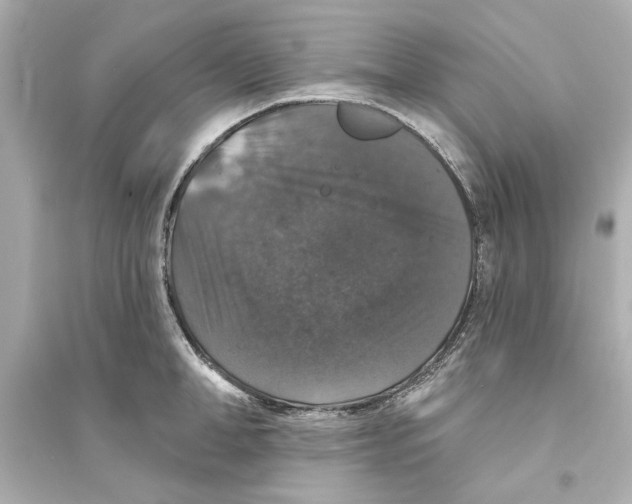 X0000093580998200711121056