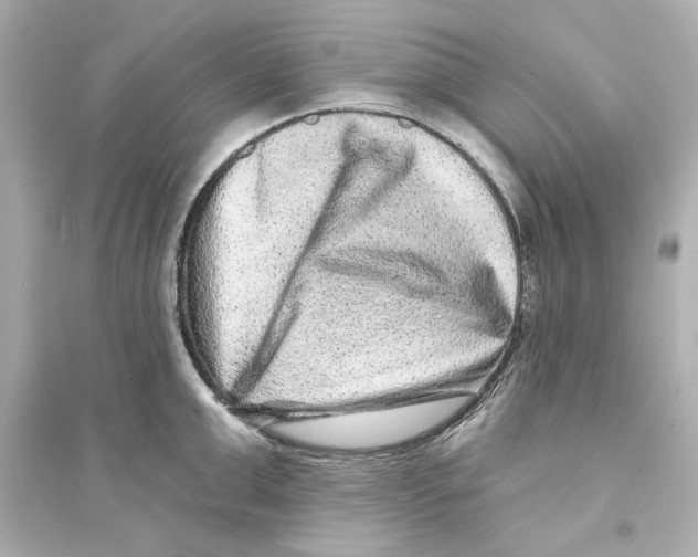 X0000093580999200711121056