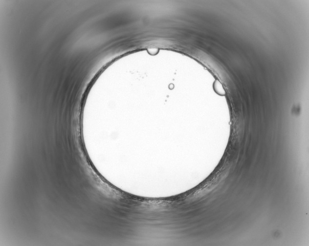 X0000093581000200711121056