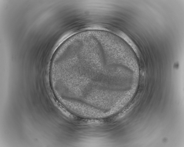 X0000093581002200711121056