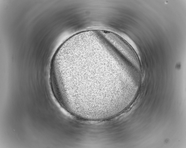 X0000093581005200711121056