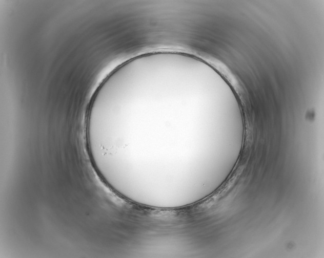 X0000093581006200711121056