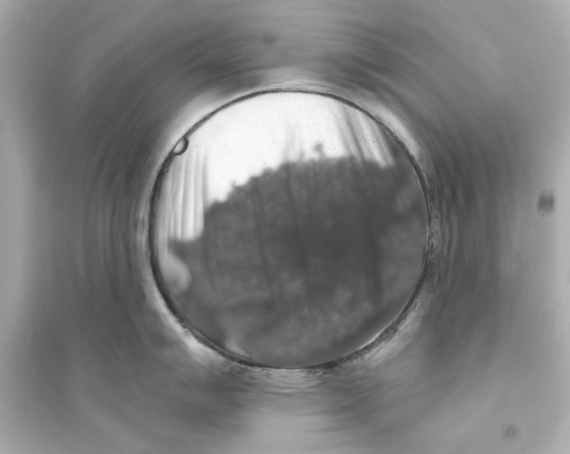 X0000093581007200711121056