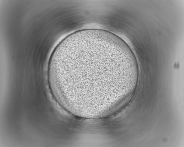 X0000093581008200711121056