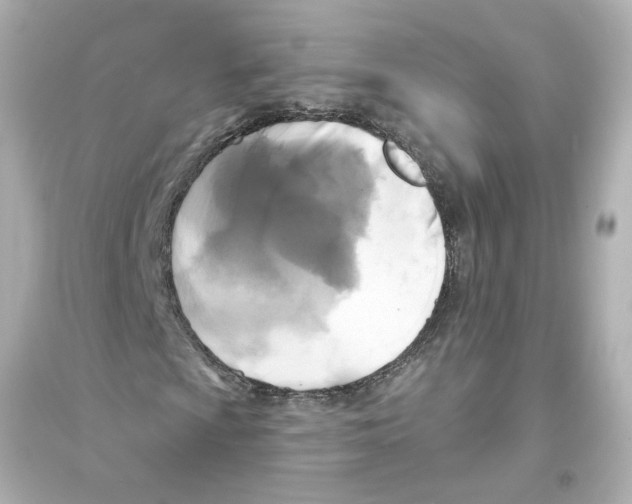 X0000093581009200711121056