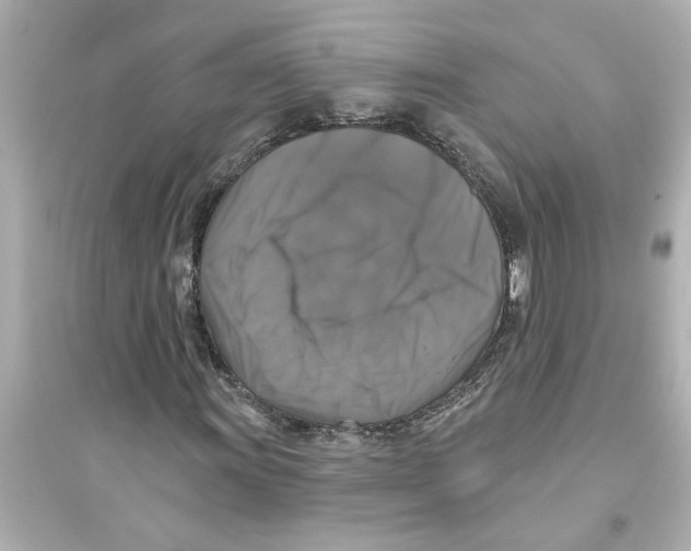 X0000093581011200711121056