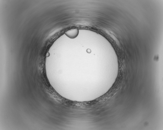 X0000093581015200711121056