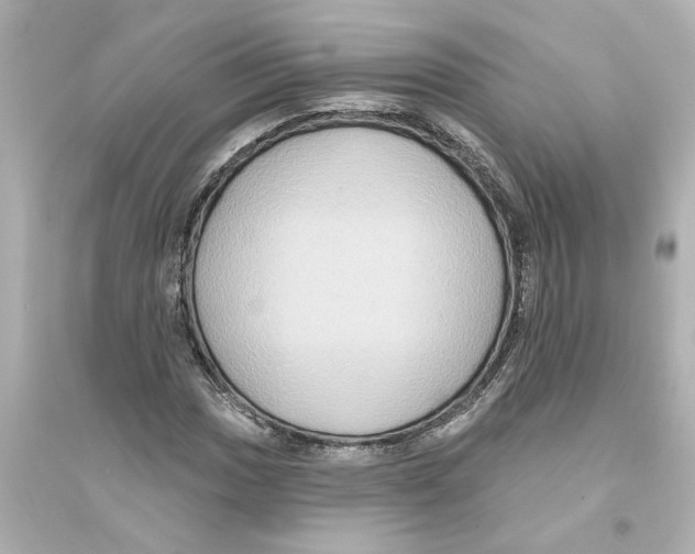 X0000093581017200711121056