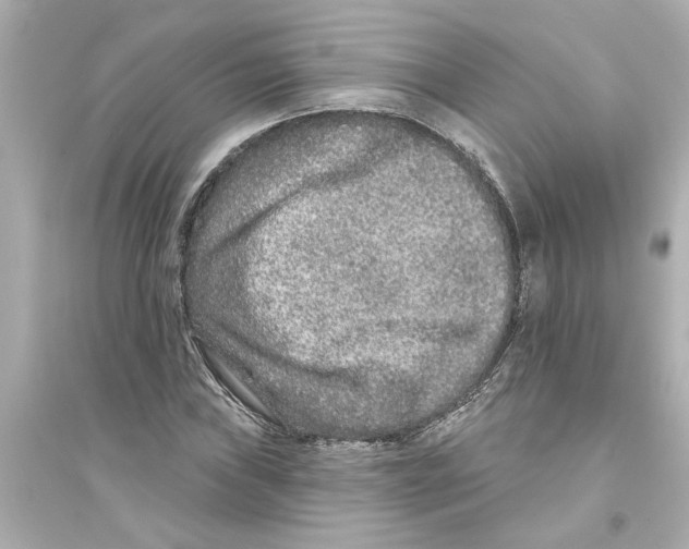 X0000093581019200711121056