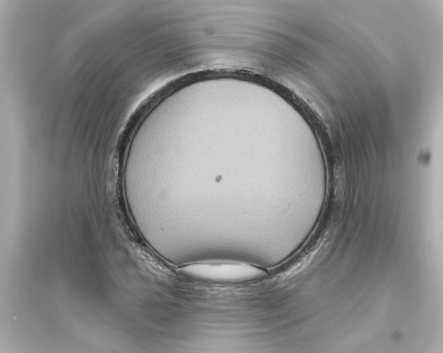 X0000093581021200711121056