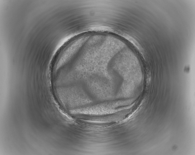 X0000093581022200711121056