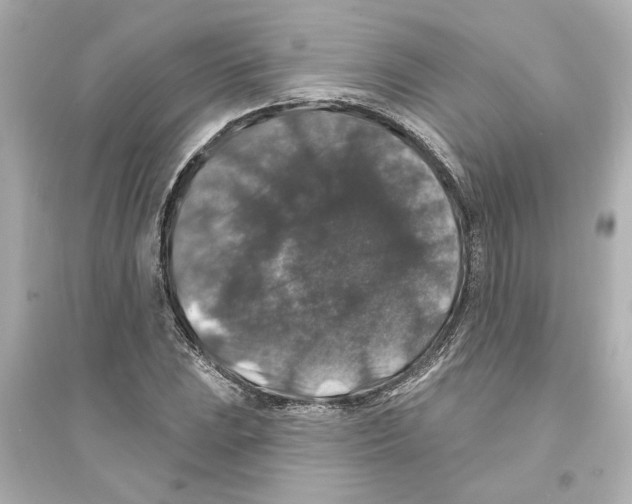 X0000093581023200711121056