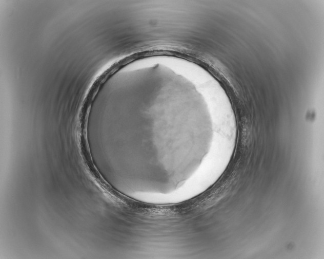 X0000093581024200711121056