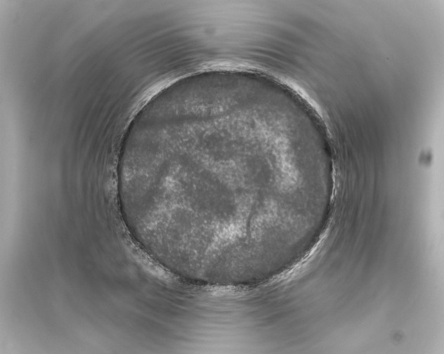 X0000093581025200711121056