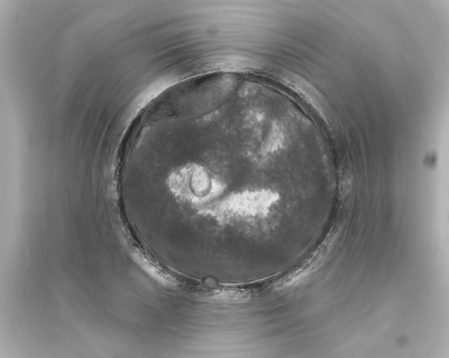 X0000093581026200711121056