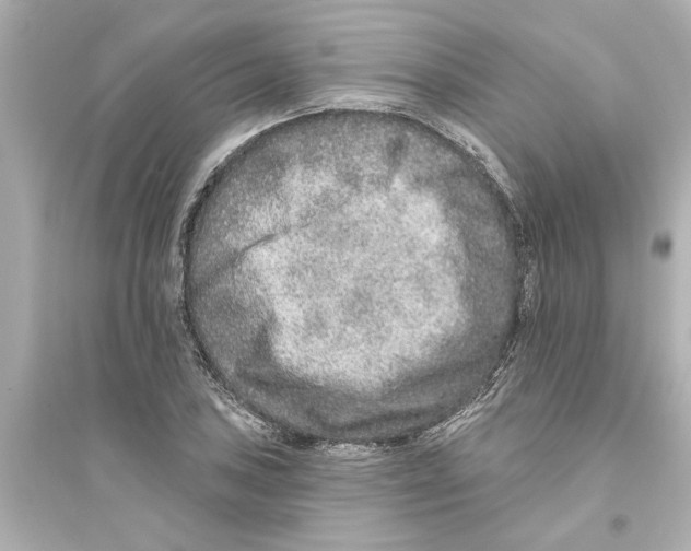 X0000093581027200711121056