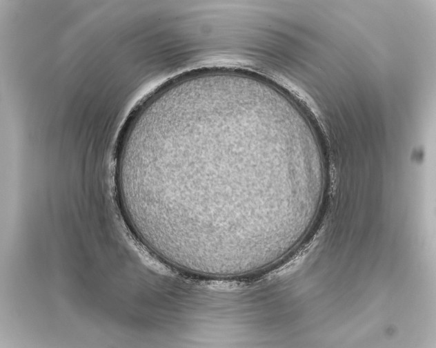 X0000093581029200711121056