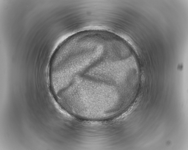 X0000093581030200711121056