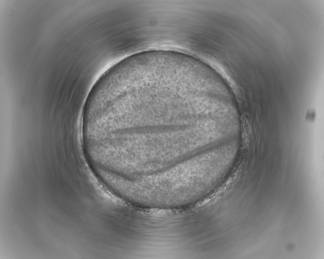 X0000093581032200711121056