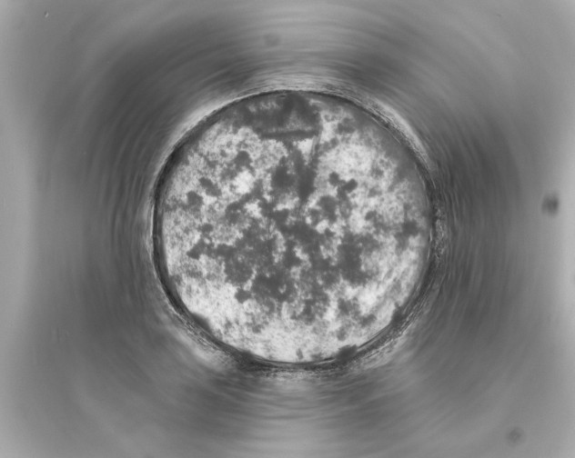 X0000093581035200711121056