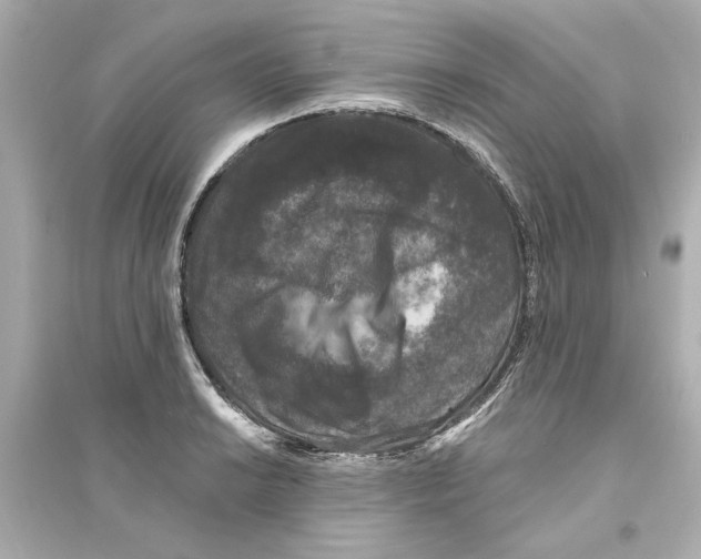 X0000093581038200711121056