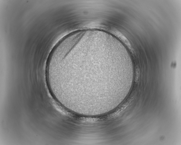 X0000093581039200711121056