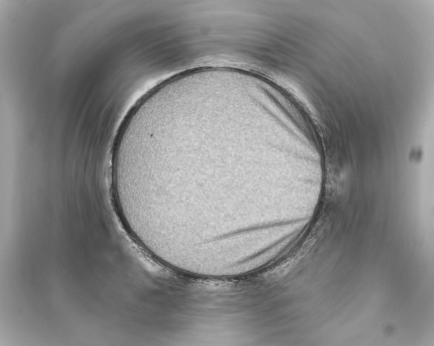 X0000093581040200711121056