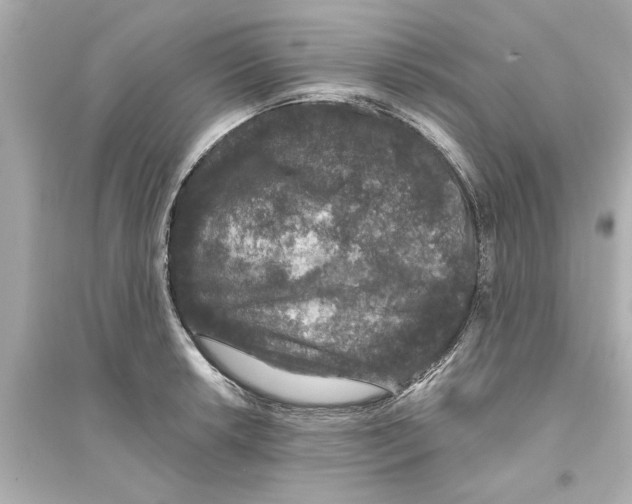 X0000093581042200711121056