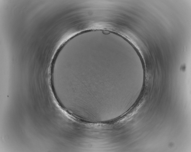 X0000093581045200711121056