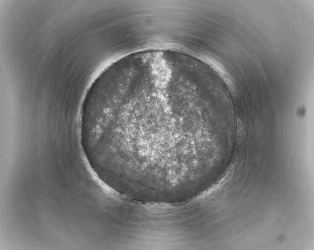 X0000093581046200711121056