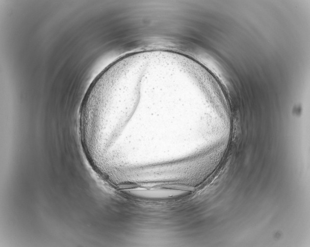 X0000093581047200711121056