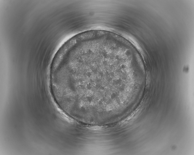 X0000093581048200711121056