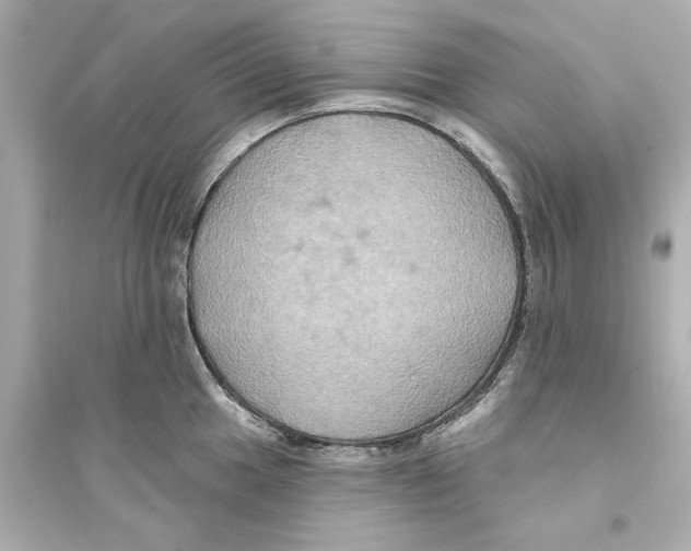 X0000093581049200711121056