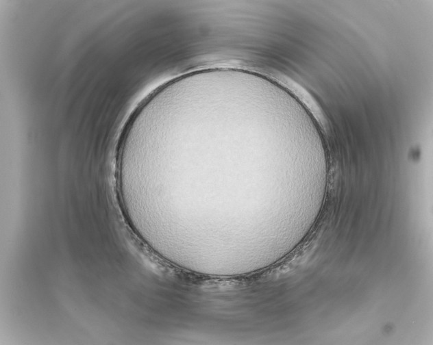 X0000093581051200711121056