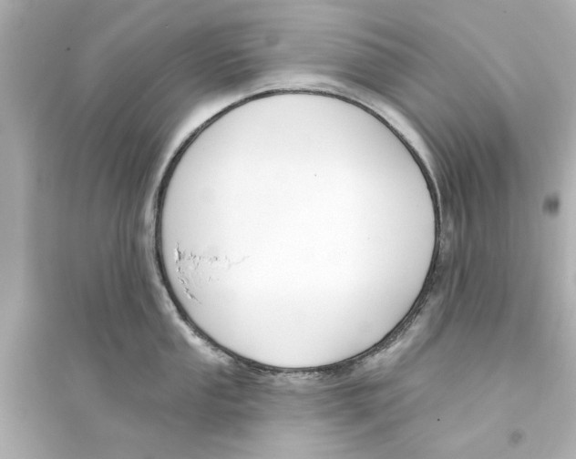 X0000093581053200711121056