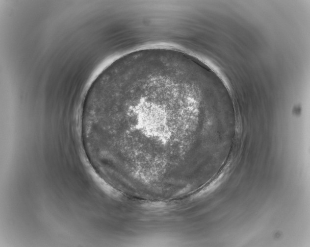 X0000093581054200711121056