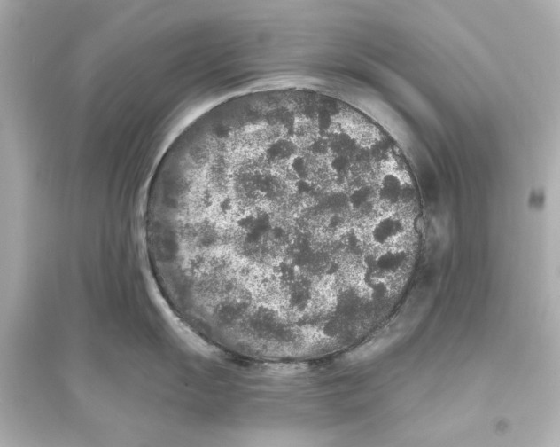 X0000093581055200711121056