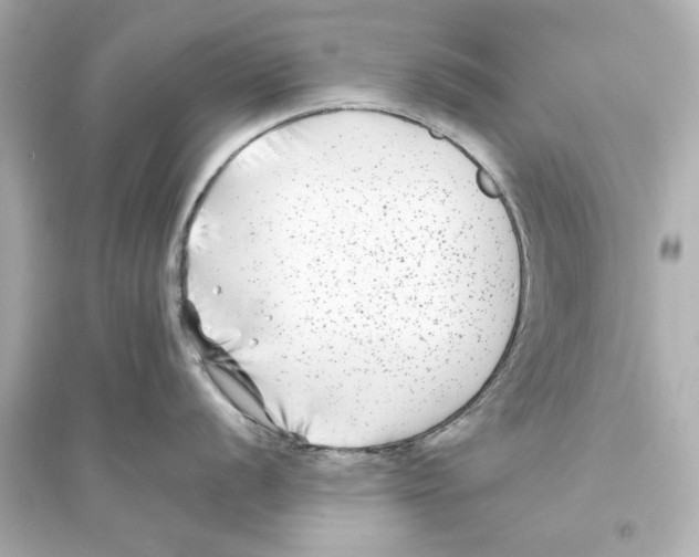 X0000093581056200711121056