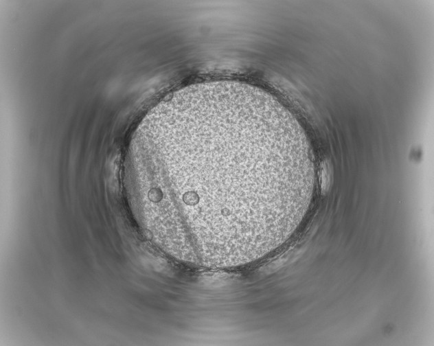 X0000093581059200711121055