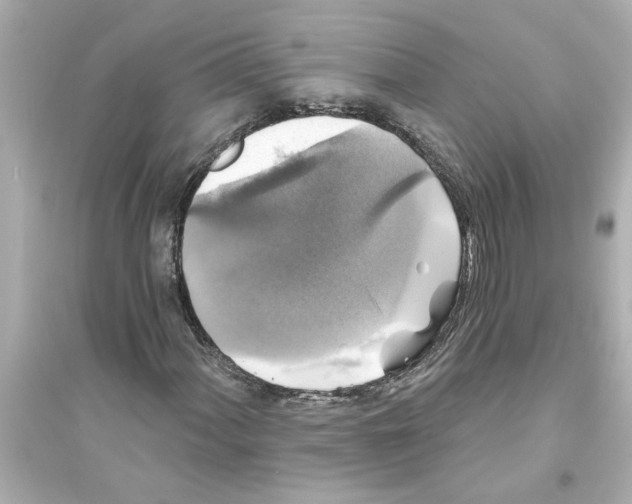 X0000093581060200711121055