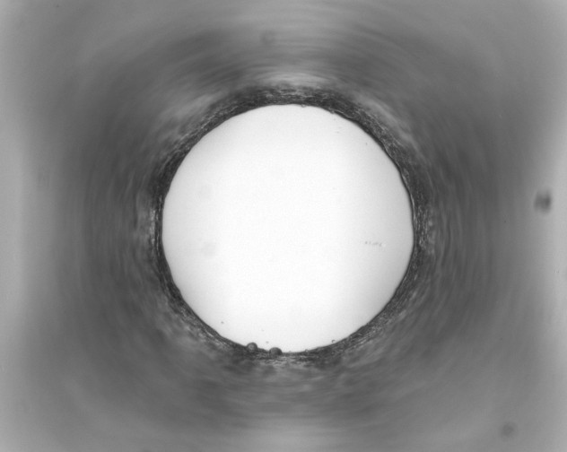 X0000093581061200711121055