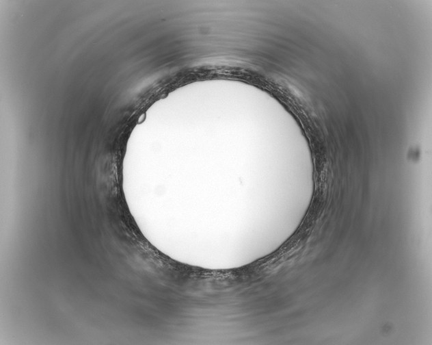 X0000093581062200711121055