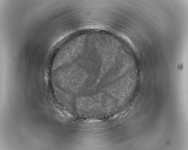 X0000093581064200711121055