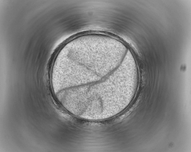 X0000093581070200711121055